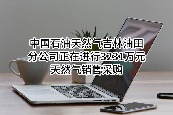 中国石油天然气股份有限公司吉林油田分公司正在进行3231万元天然气销售采购