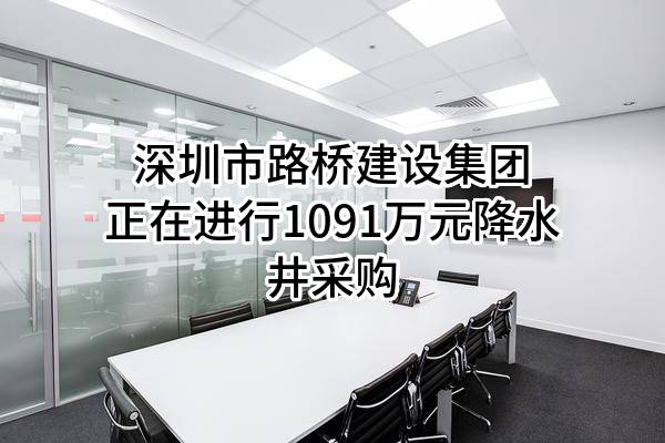 深圳市路桥建设集团有限公司正在进行1091万元降水井采购