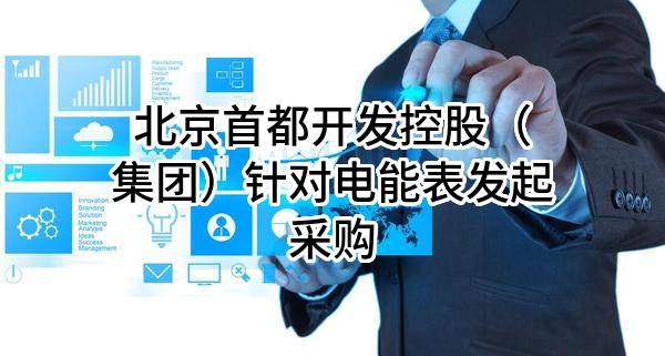 北京首都开发控股（集团）有限公司针对电能表发起采购