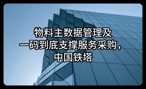 物料主数据管理及一码到底支撑服务采购，中国铁塔股份有限公司