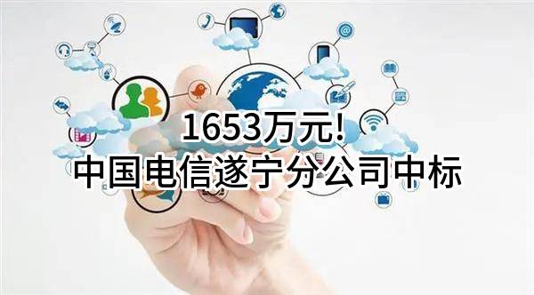 1653万元! 中国电信股份有限公司遂宁分公司中标