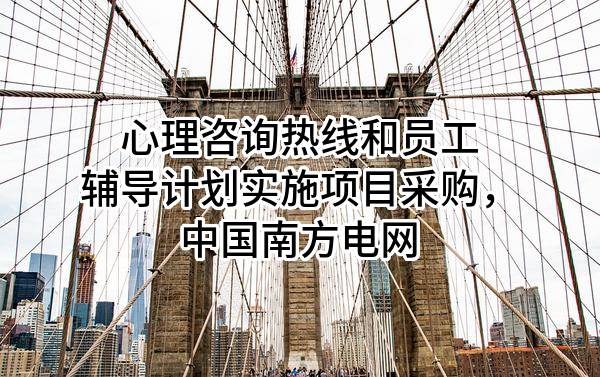 心理咨询热线和员工辅导计划实施项目采购，中国南方电网有限责任公司