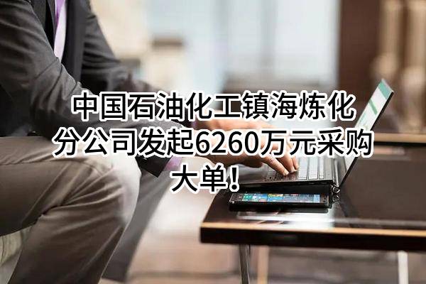 中国石油化工股份有限公司镇海炼化分公司最新发起6260万元采购大单!