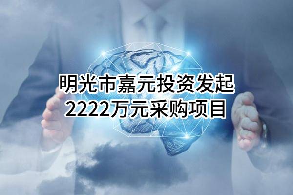 明光市嘉元投资有限公司最新发起2222万元采购项目