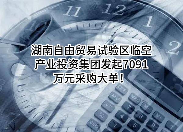 湖南自由贸易试验区临空产业投资集团有限公司最新发起7091万元采购大单！