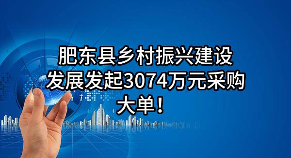肥东县乡村振兴建设发展有限公司最新发起3074万元采购大单！