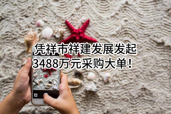 凭祥市祥建发展有限责任公司最新发起3488万元采购大单！