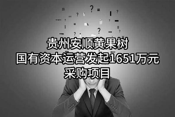 贵州安顺黄果树国有资本运营有限责任公司最新发起1651万元采购项目