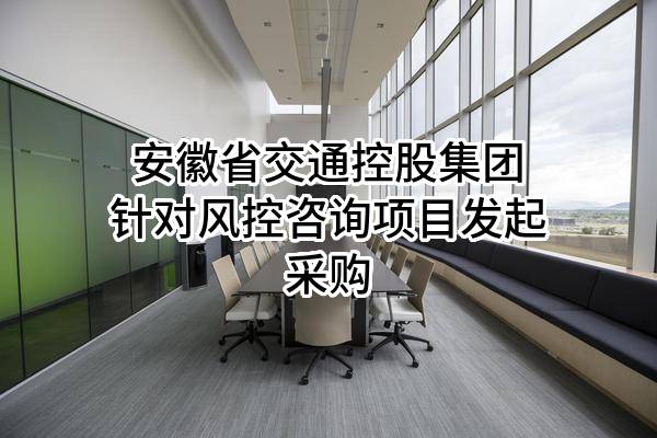 安徽省交通控股集团有限公司针对风控咨询项目发起采购