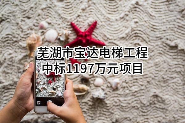 芜湖市宝达电梯工程有限公司中标1197万元项目