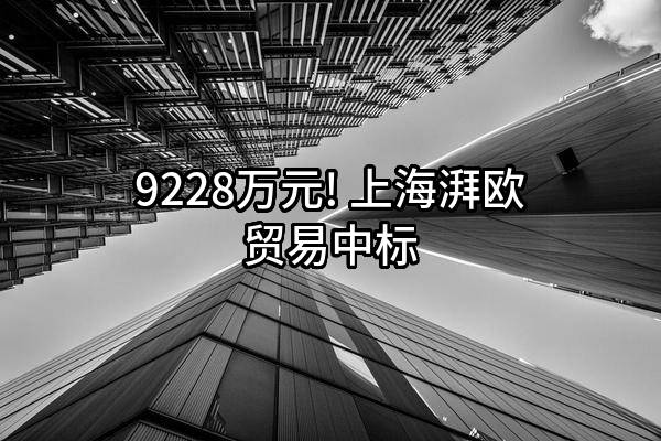 9228万元! 上海湃欧贸易有限公司中标