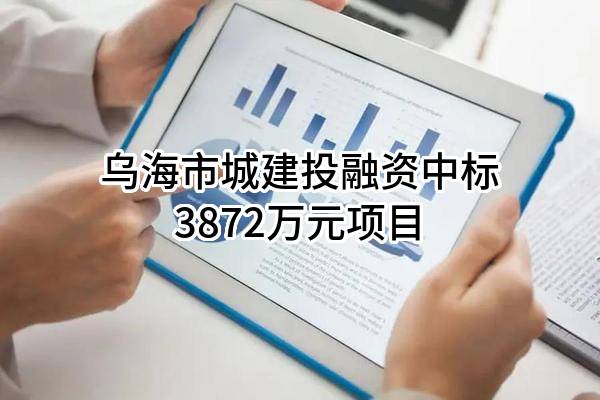 乌海市城建投融资有限责任公司中标3872万元项目