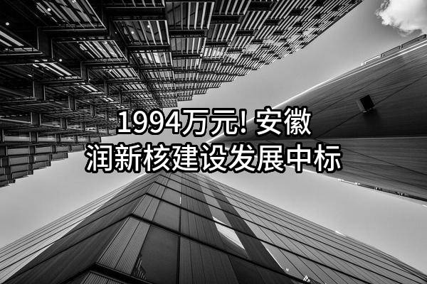1994万元! 安徽润新核建设发展有限公司中标