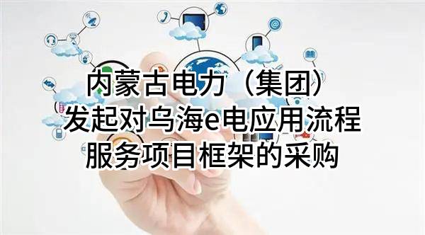 内蒙古电力（集团）有限责任公司发起对乌海e电应用流程服务项目框架的采购