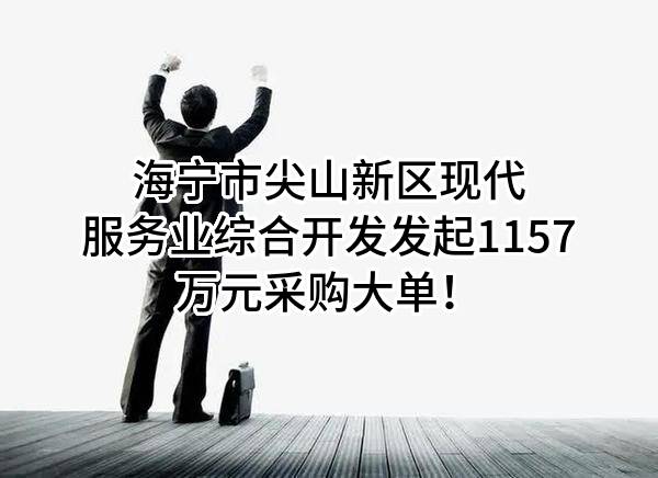 海宁市尖山新区现代服务业综合开发有限公司最新发起1157万元采购大单！