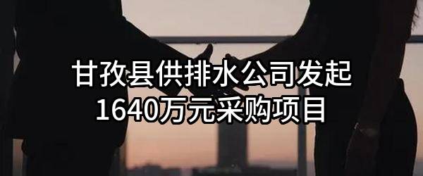 甘孜县供排水公司最新发起1640万元采购项目