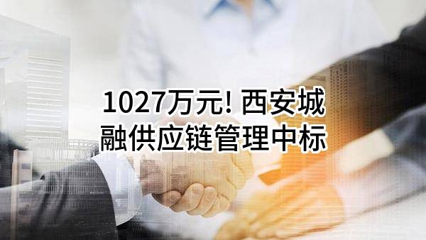 1027万元! 西安城融供应链管理有限公司中标