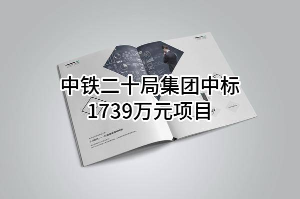 中铁二十局集团有限公司中标1739万元项目