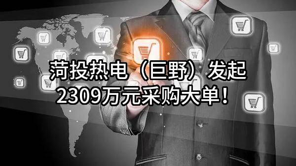 菏投热电（巨野）有限公司最新发起2309万元采购大单！