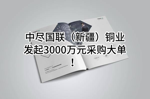 中尽国联(新疆)铜业有限公司最新发起3000万元采购大单!