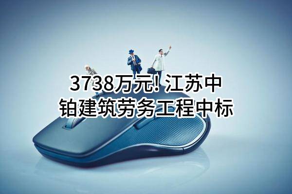 3738万元! 江苏中铂建筑劳务工程有限公司中标