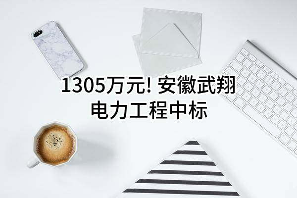 1305万元! 安徽武翔电力工程有限公司中标