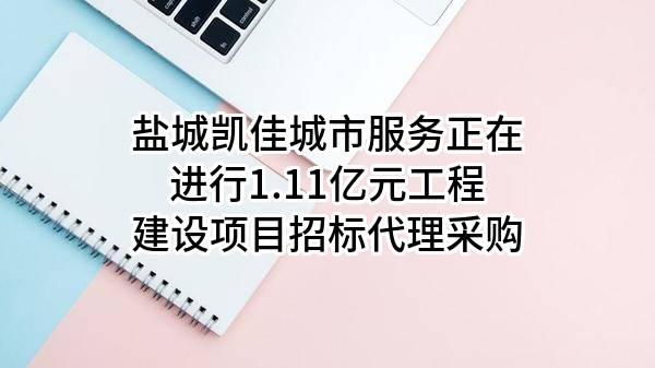 盐城凯佳城市服务有限公司正在进行1.11亿元工程建设项目招标代理采购