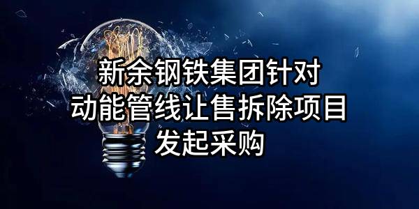 新余钢铁集团有限公司针对动能管线让售拆除项目发起采购