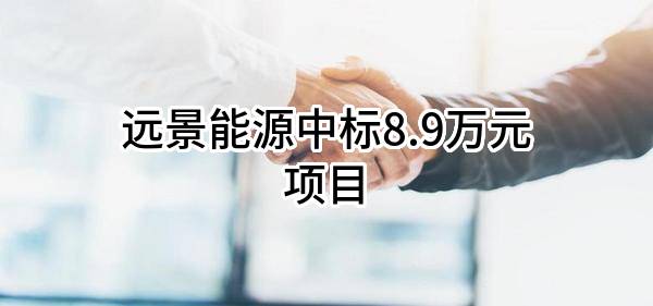 远景能源有限公司中标8.9万元项目
