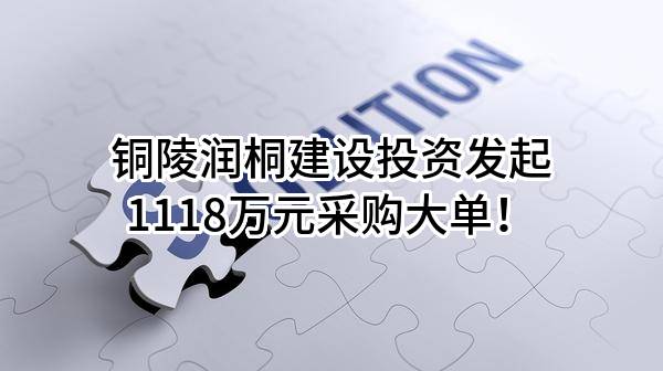 铜陵润桐建设投资有限公司最新发起1118万元采购大单！