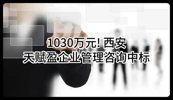 1030万元! 西安天赋盈企业管理咨询有限公司中标