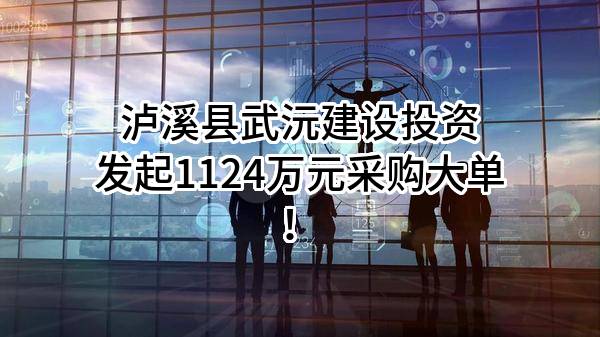 泸溪县武沅建设投资有限公司最新发起1124万元采购大单！