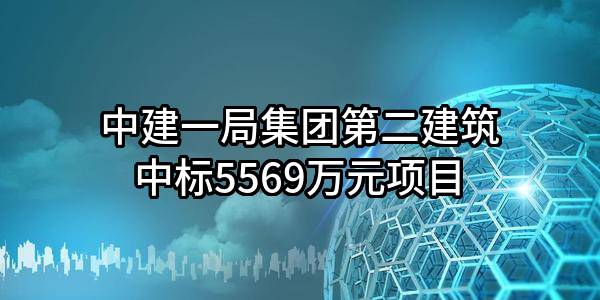 中建一局集团第二建筑有限公司中标5569万元项目