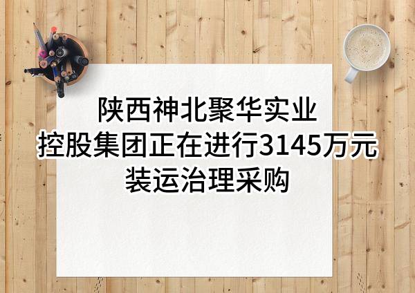 陕西神北聚华实业控股集团有限公司正在进行3145万元装运治理采购