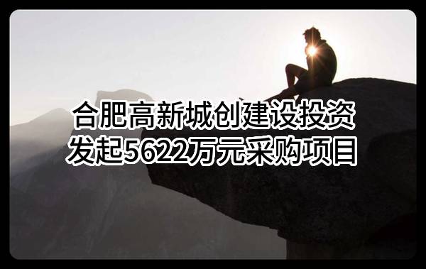 合肥高新城创建设投资有限公司最新发起5622万元采购项目