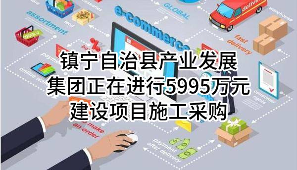 镇宁自治县产业发展集团有限公司正在进行5995万元建设项目施工采购