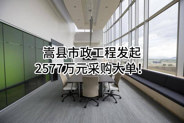 嵩县市政工程有限公司最新发起2577万元采购大单！