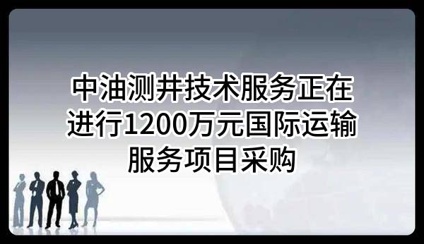 中油测井技术服务有限责任公司正在进行1200万元国际运输服务项目采购