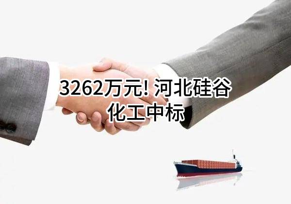 3262万元! 河北硅谷化工有限公司中标