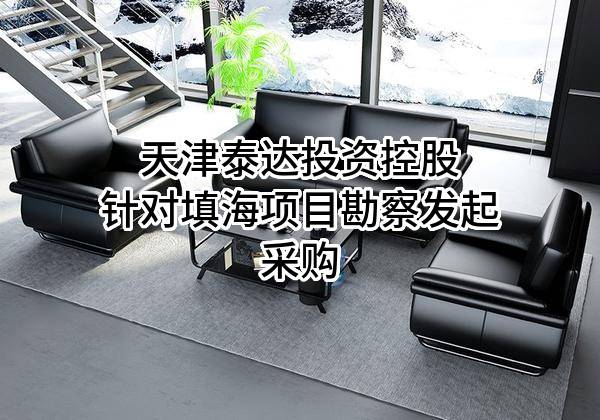 天津泰达投资控股有限公司针对填海项目勘察发起采购