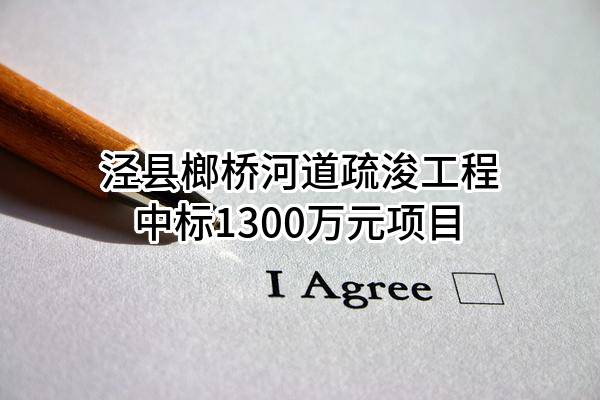 泾县榔桥河道疏浚工程有限公司中标1300万元项目