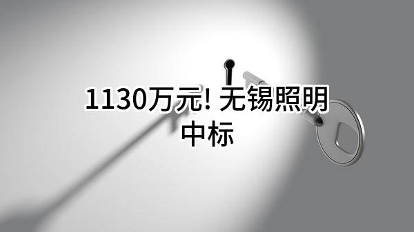 1130万元! 无锡照明股份有限公司中标