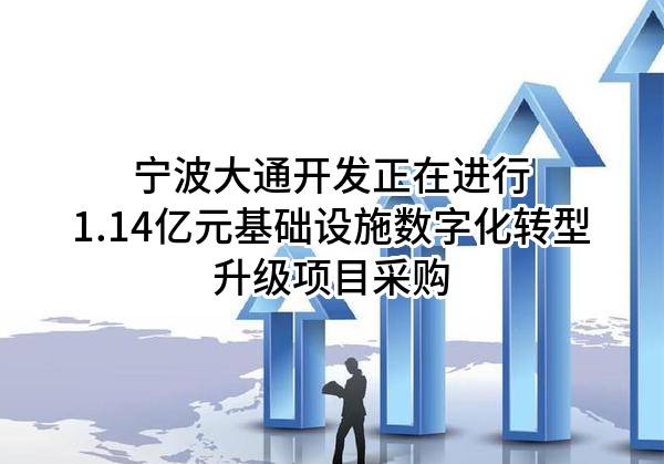 宁波大通开发有限公司正在进行1.14亿元基础设施数字化转型升级项目采购
