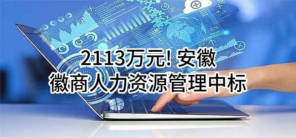2113万元! 安徽徽商人力资源管理有限公司中标