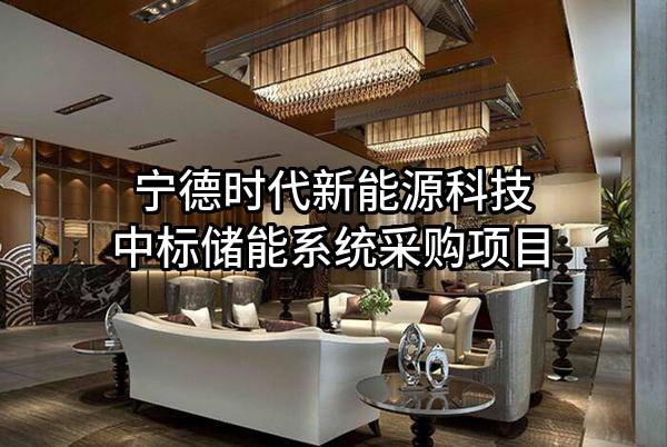 宁德时代新能源科技股份有限公司中标储能系统采购项目