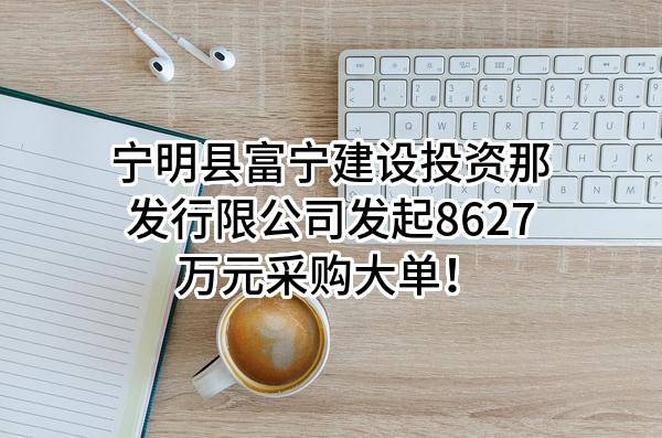 宁明县富宁建设投资那发行限公司最新发起8627万元采购大单！