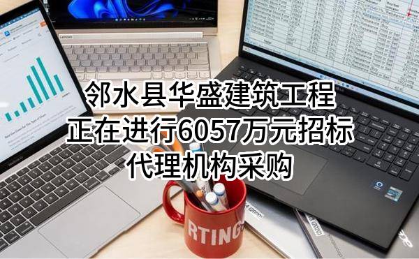 邻水县华盛建筑工程有限公司正在进行6057万元招标代理机构采购