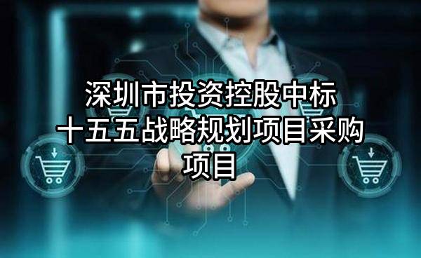 深圳市投资控股有限公司中标十五五战略规划项目采购项目
