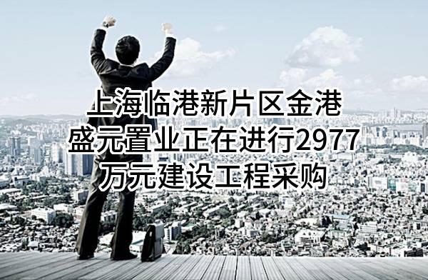 上海临港新片区金港盛元置业有限公司正在进行2977万元建设工程采购