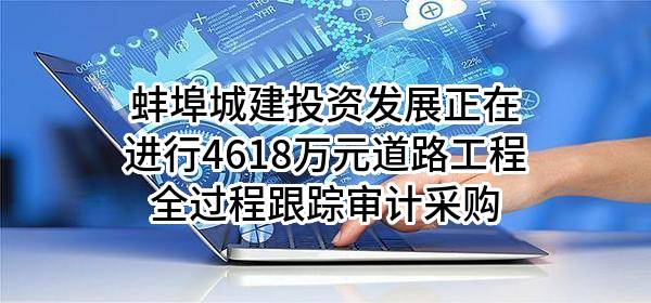 蚌埠城建投资发展有限公司正在进行4618万元道路工程全过程跟踪审计采购